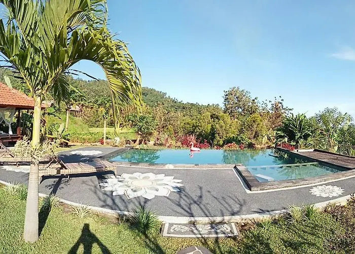Markisa Pakisan 4*