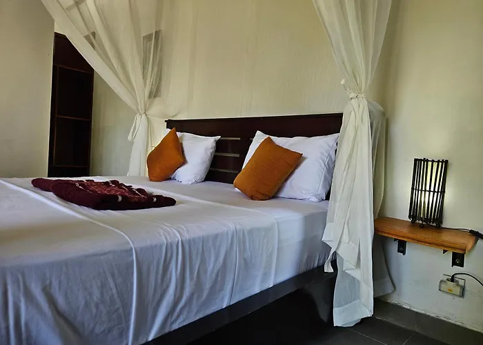 Markisa Pakisan 4*