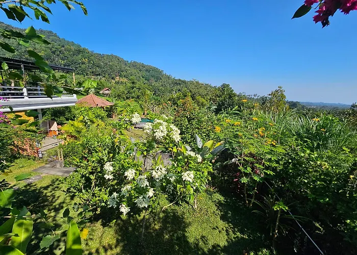 Markisa Pakisan 4* Sawan